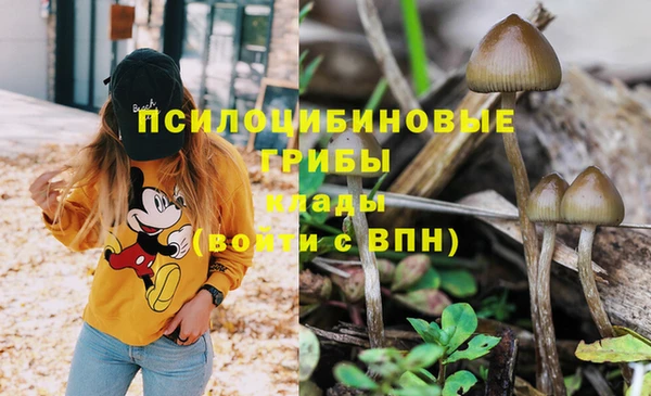 гидра Аркадак