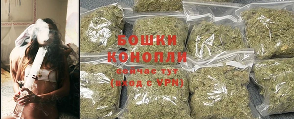гидра Аркадак