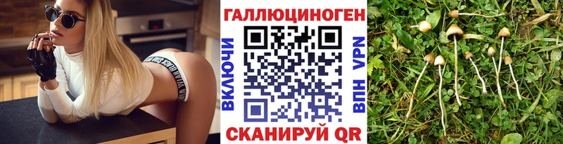 Галлюциногенные грибы ЛСД  купить наркоту  кракен как войти  Тара 